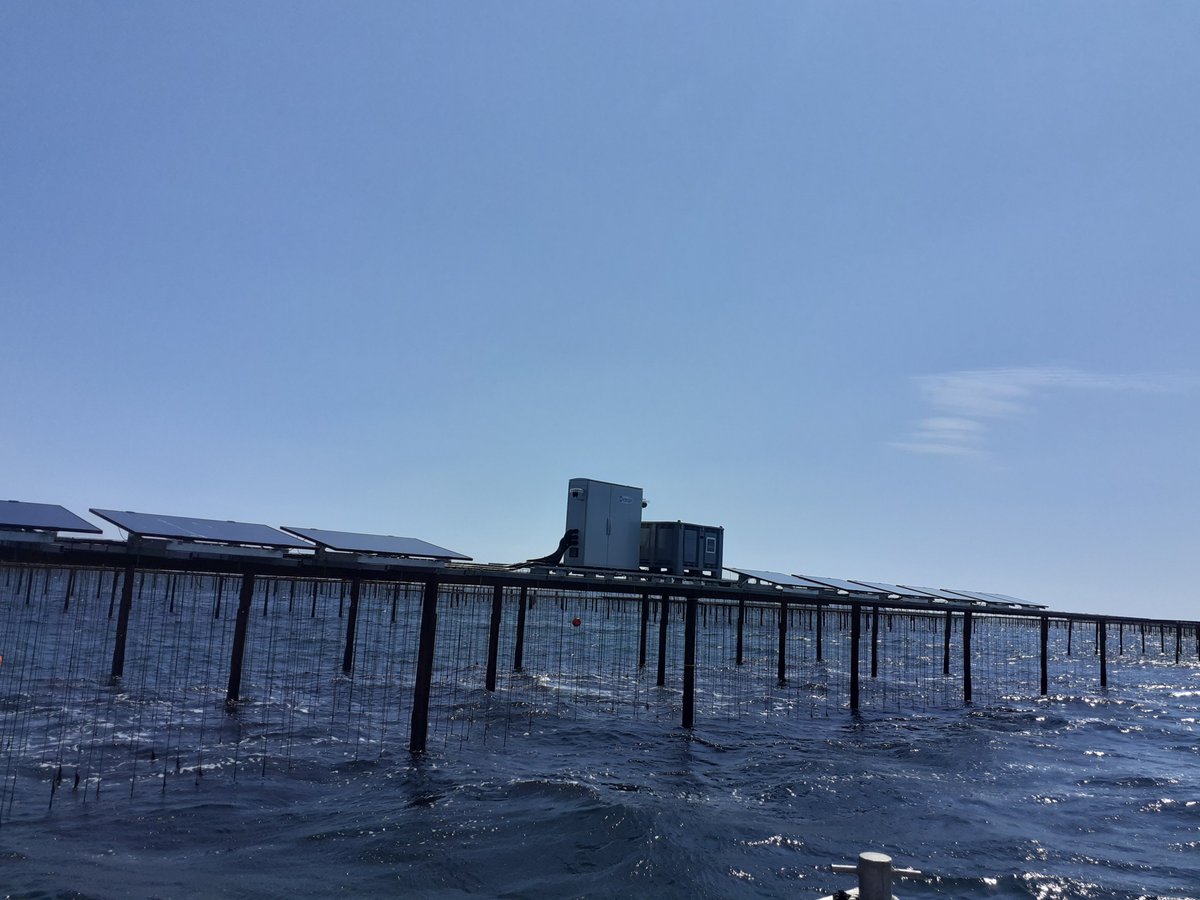 inergys's tweet photo. 😎 Visite d’Inergys à l’Etang de Thau où l’oxygénation des huitres devient indispensable. Notre système #offgrid permet une adaptation au #changementclimatique🌎. Faites appel à notre savoir-faire pour la conception et l’installation de systèmes sur mesure alimentés par #EnR☀️. https://t.co/Ez5fPonXtG