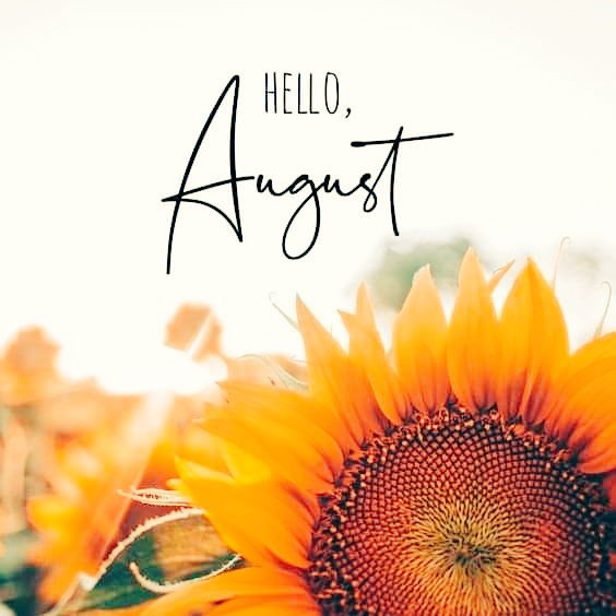 DeeDeeDiamond7's tweet photo. ✨️#helloaugust #chapter8of12✨️😘🤎🤎 https://t.co/9XueUcYblA