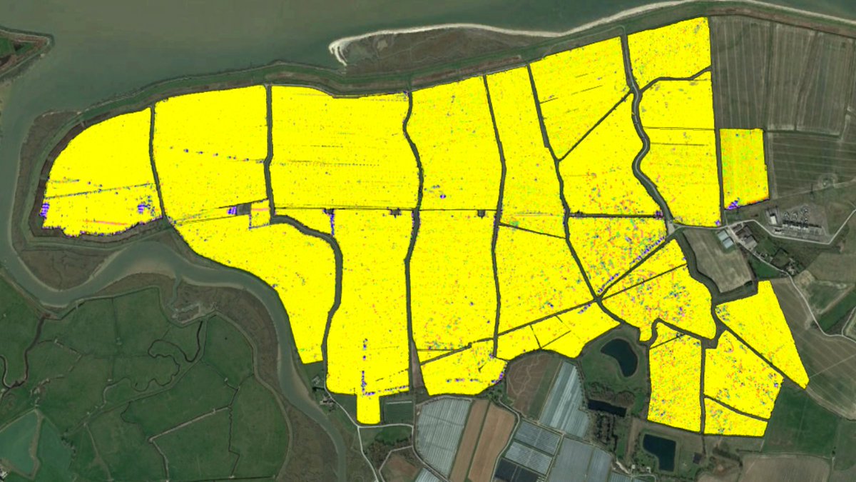 Brimstone_UXO's tweet photo. At Brimstone, we proudly lead the way in #UXO drone #surveying. At a site in Faversham for example, we were able to survey 316 hectares of land in just 25 days. This would have taken over 150 days had we used the conventional push-cart method instead: https://t.co/kBUM8KDQQw https://t.co/Hlq6qMHrVg