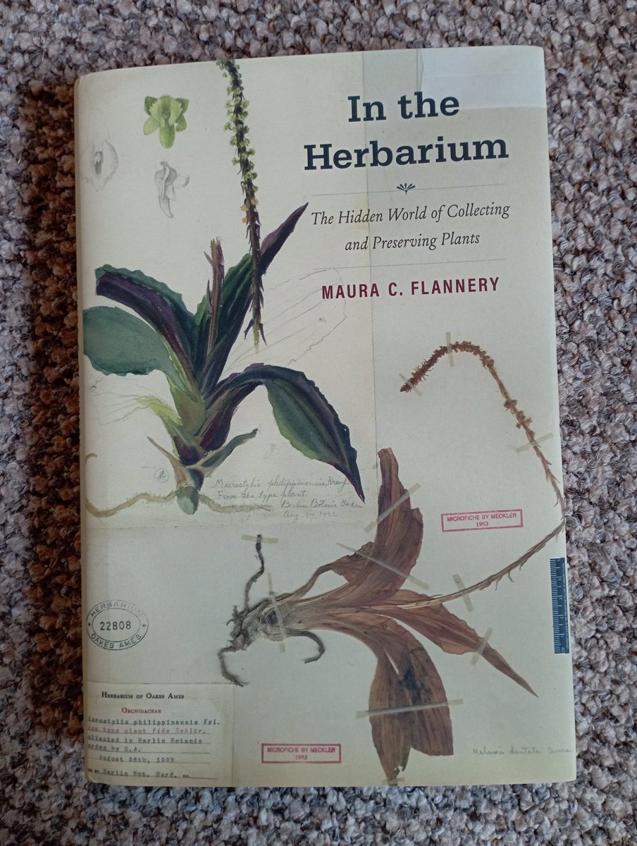 🌺📚 The loveliest delivery from the fabulous @flannerm - her wonderful new book 'In the #Herbarium: The Hidden World of Collecting and Preserving Plants' - what a treat, thank you so much, Maura! 🌿📚