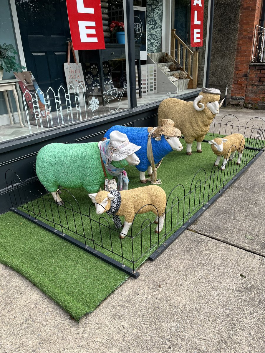 Greendale Carpets tweet media