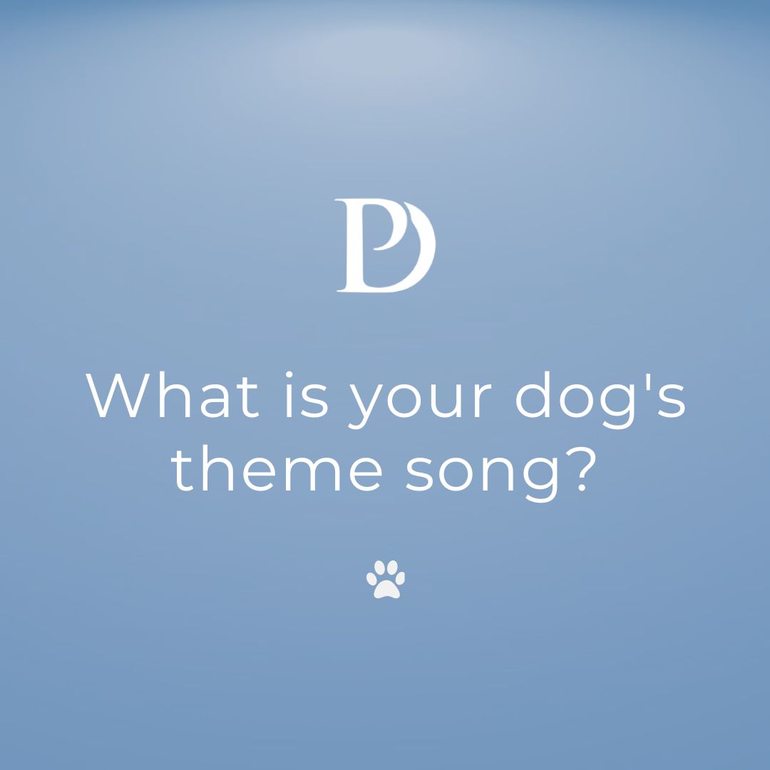 #TuesdayTunesday🎶
 
What is your dog's theme song?

#themesong #tongueoutthuesday #pawpack #pawrents #tuesdaytunesday