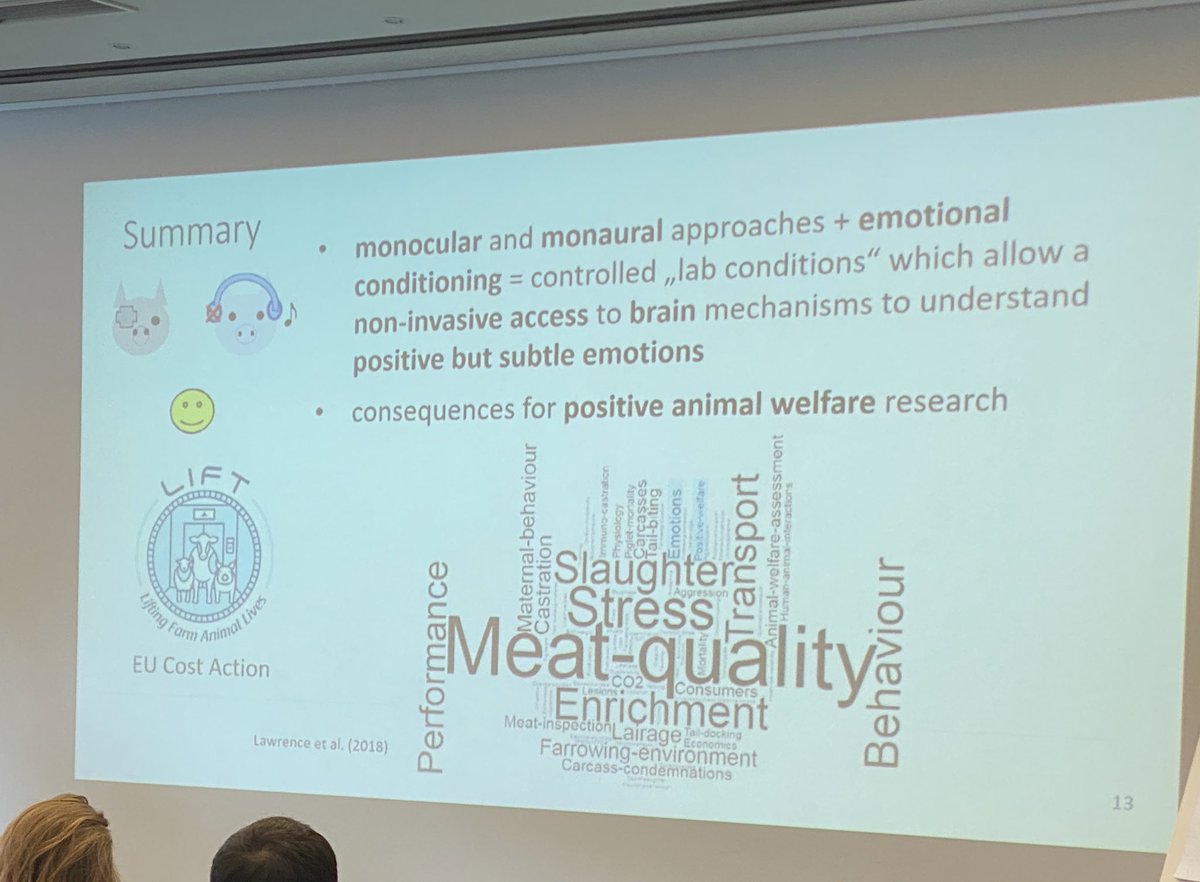 MariaRorvang's tweet photo. Auditory laterality in pigs and the emotional valence hypothesis by @LateraLiterally 
Monocular and monaural approaches combined with emotional conditioning allowed a non-invasive study of brain mechanisms in positive subtle emotions.
#isae2023 #positivewelfare https://t.co/mHqy72UVdx