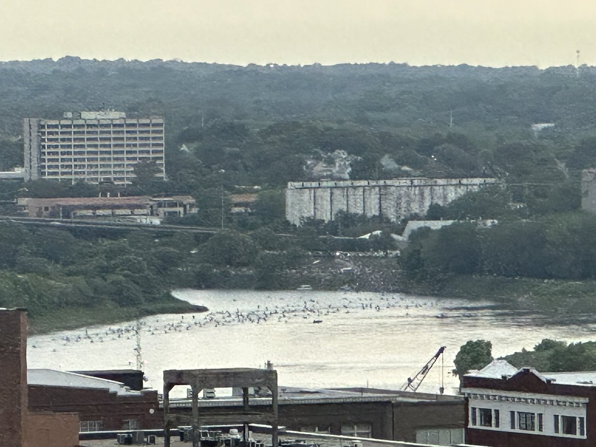 DanaDNews's tweet photo. And they’re off! Hundreds of paddlers getting underway in the longest non-stop river race in the world! It’s the MR340 - 340 miles on the Missouri River. Good luck to all! #mr340 #riverrace #moriver https://t.co/XSqJpTLpk4