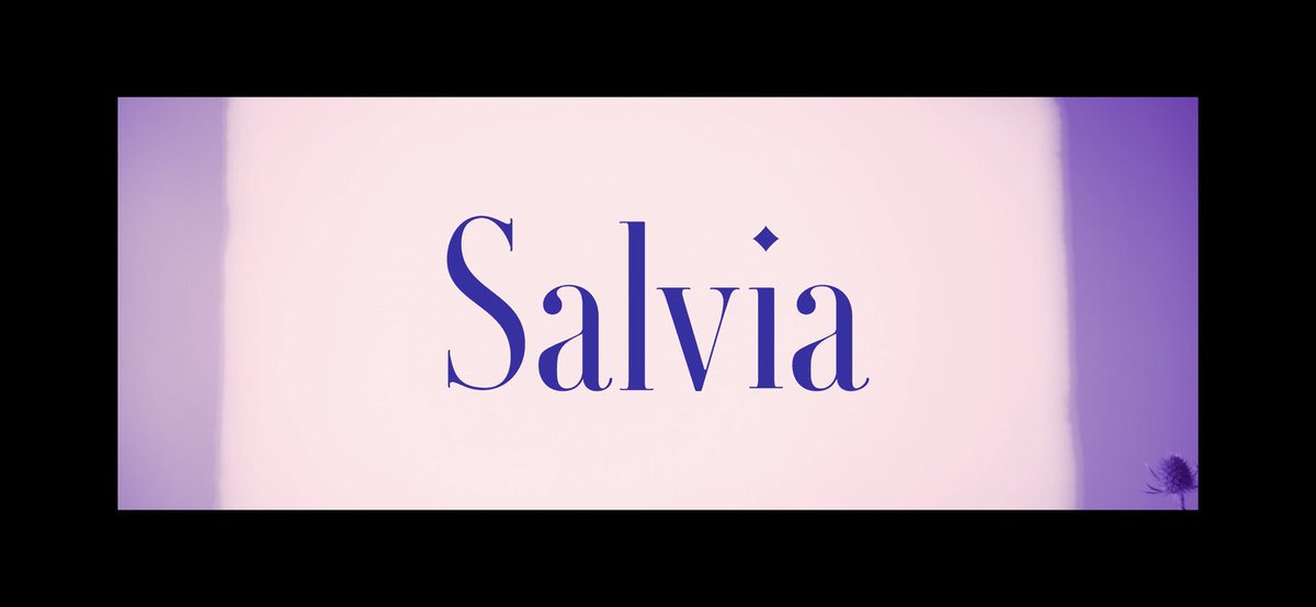 _penguinrush_'s tweet photo. ───────────
Penguinrush " Salvia " 
Music Video 8/2 21:00
───────────
⁡
download &amp; streaming🔗
https://t.co/DCSEzLCzB3 https://t.co/aJWLzjtLyB