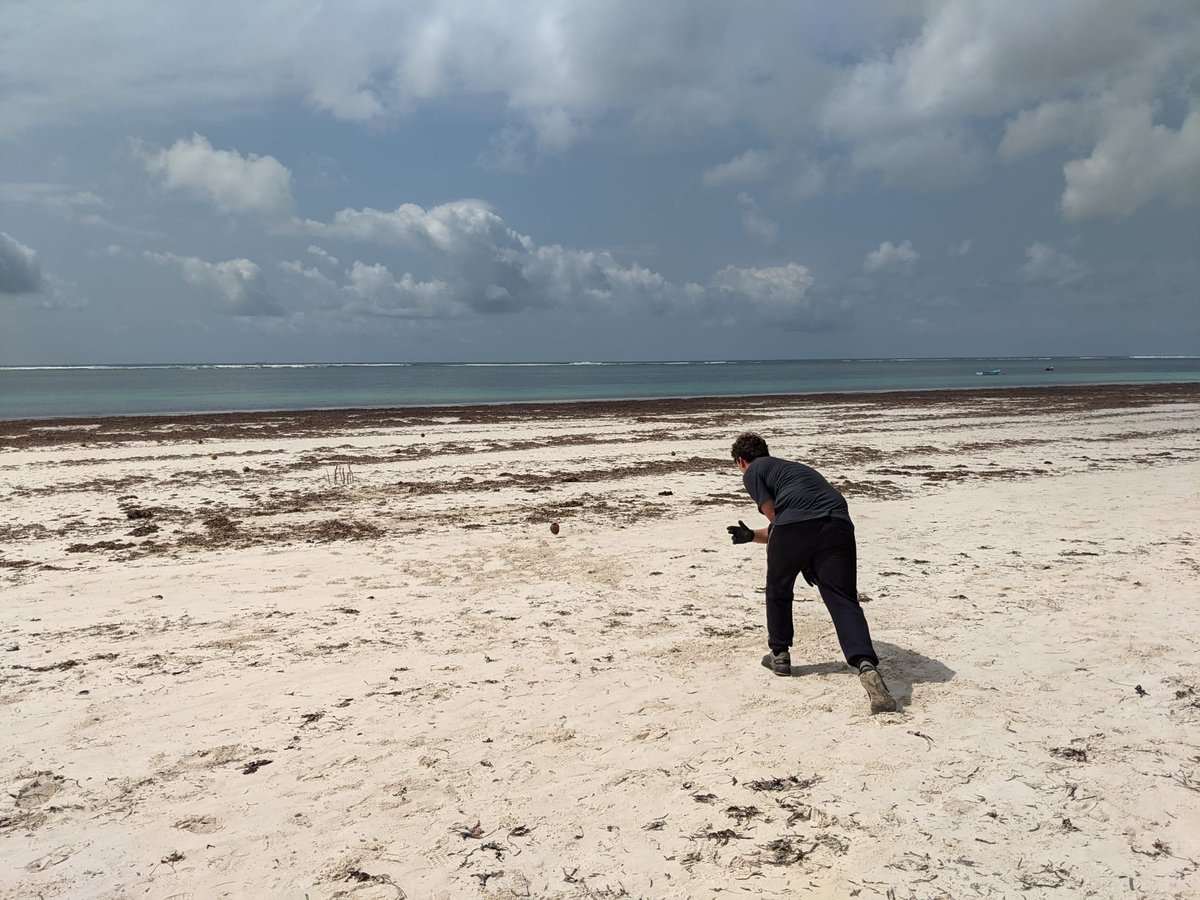 #TeamSwara have been enjoying a mix of activities at #beachcamp from #marineconservation projects to some R&amp;R, snorkelling 🤿 and 🥥games 🙌#inventive. <a href="/CampsInt/">Camps International</a> #DoSomethingAmazing