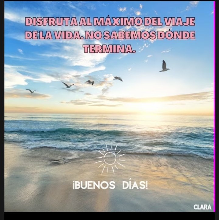 Gabriella Rodríguez tweet media