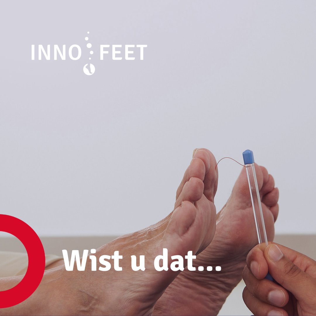 Innofeet's tweet photo. ...gemiddeld 1 op de 4 mensen met diabetes te maken krijgt met voetproblemen? 🦶

Daarom is het van belang om uw voeten minimaal 1 keer per jaar te laten controleren door een podotherapeut. Wilt u een afspraak bij ons plannen? Neem dan contact met ons op. #podotherpaie #diabetes https://t.co/W9KJOwCqe5