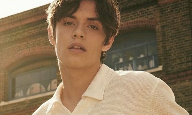 Louis Partridgeもはや美しすぎて彫刻...これで20歳とか信じられない💖