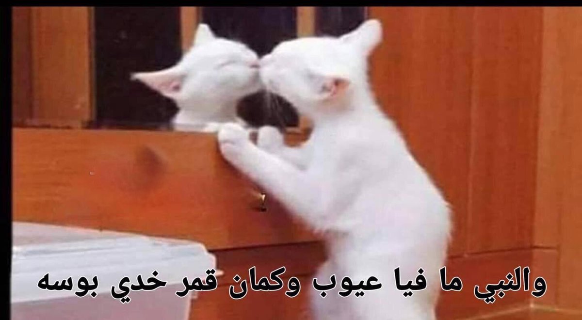 Toonzatt's tweet photo. لما اجي ادور علي عيوبي https://t.co/ApludjPYX8