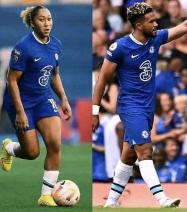 THE CHELSEA FORUM tweet media