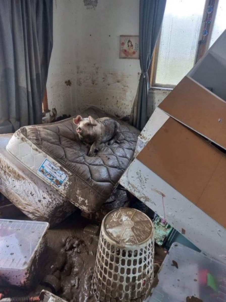 unbothered. moisturized. happy. in my lane. focused. flourishing🥰