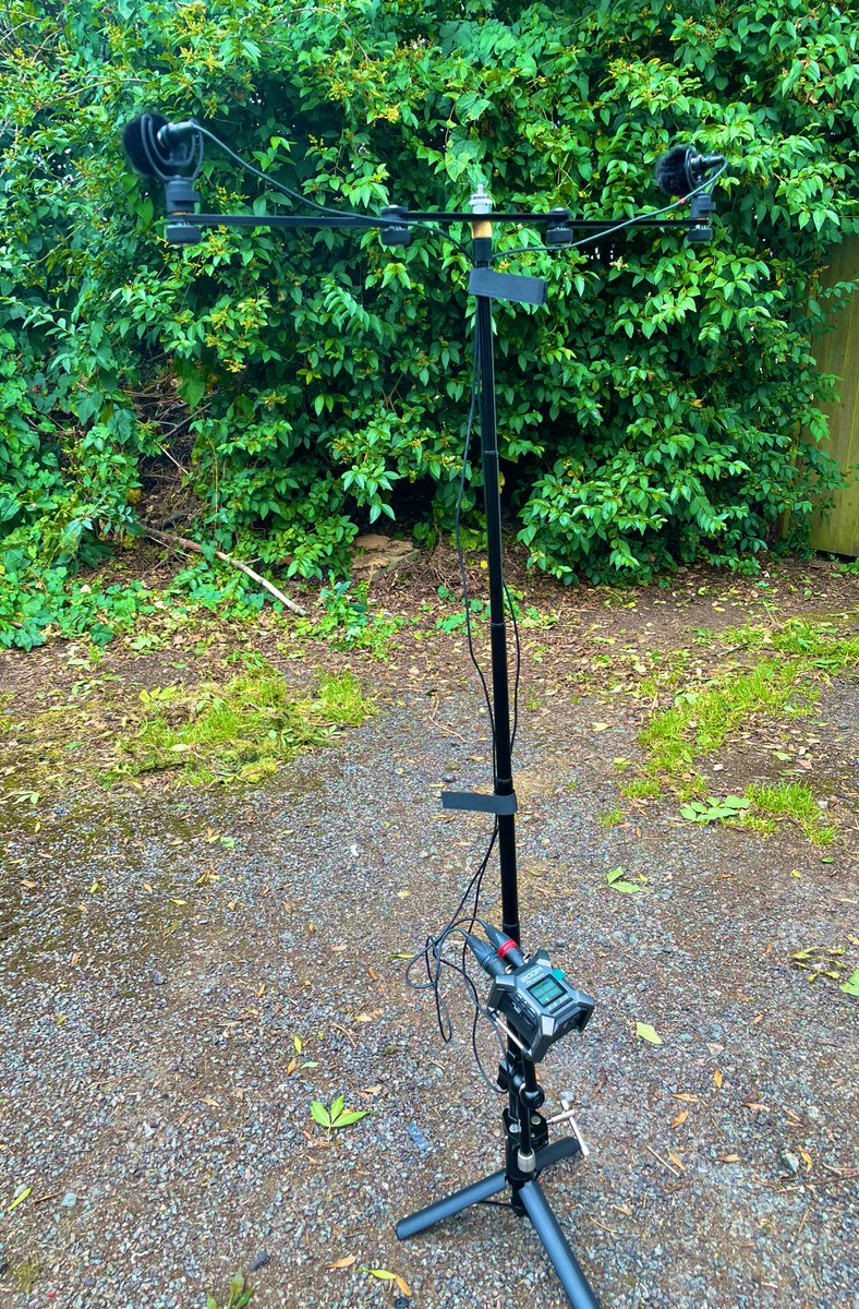 Tony Gibson tweet media