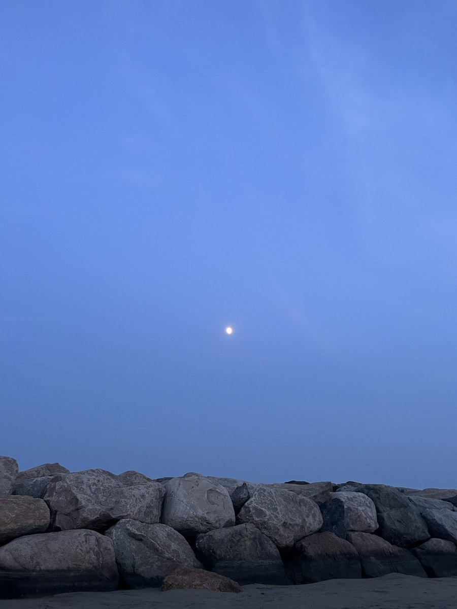 WritingRelation's tweet photo. Welcome August 🌕

#digitalecosystem #mediaagency #writingrelations #August https://t.co/Y9vhBKzMnB