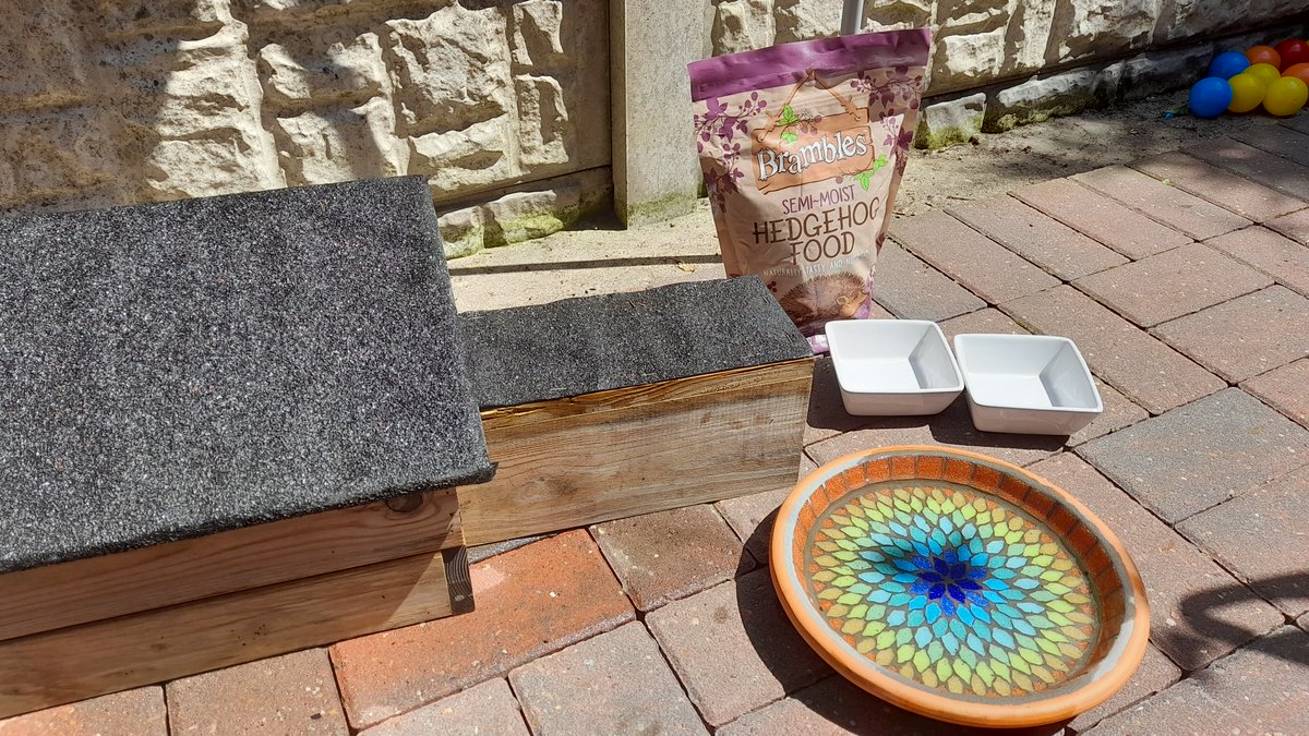 Bexams Bexams tweet media