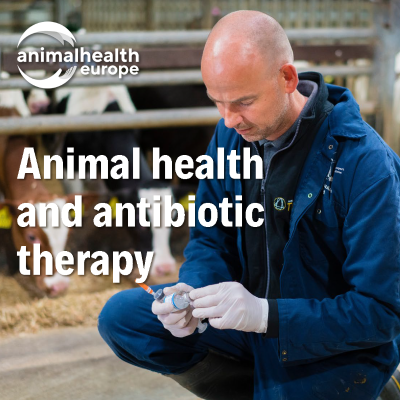 animalhealthEU's tweet photo. #Antibiotics are used in animal health as little as possible, as much as necessary ✔️
They are an important tool in the vet toolbox for protecting health and welfare.