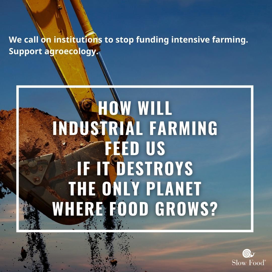 Slow Food Europe tweet media