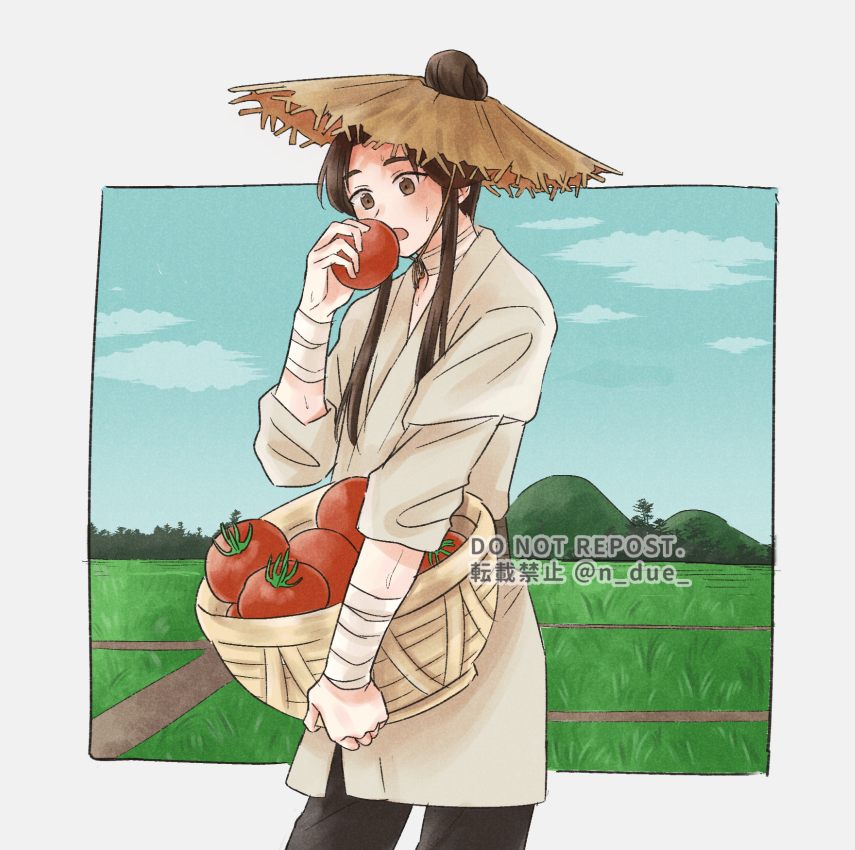 tomato 1boy hat male focus holding outdoors solo  illustration images