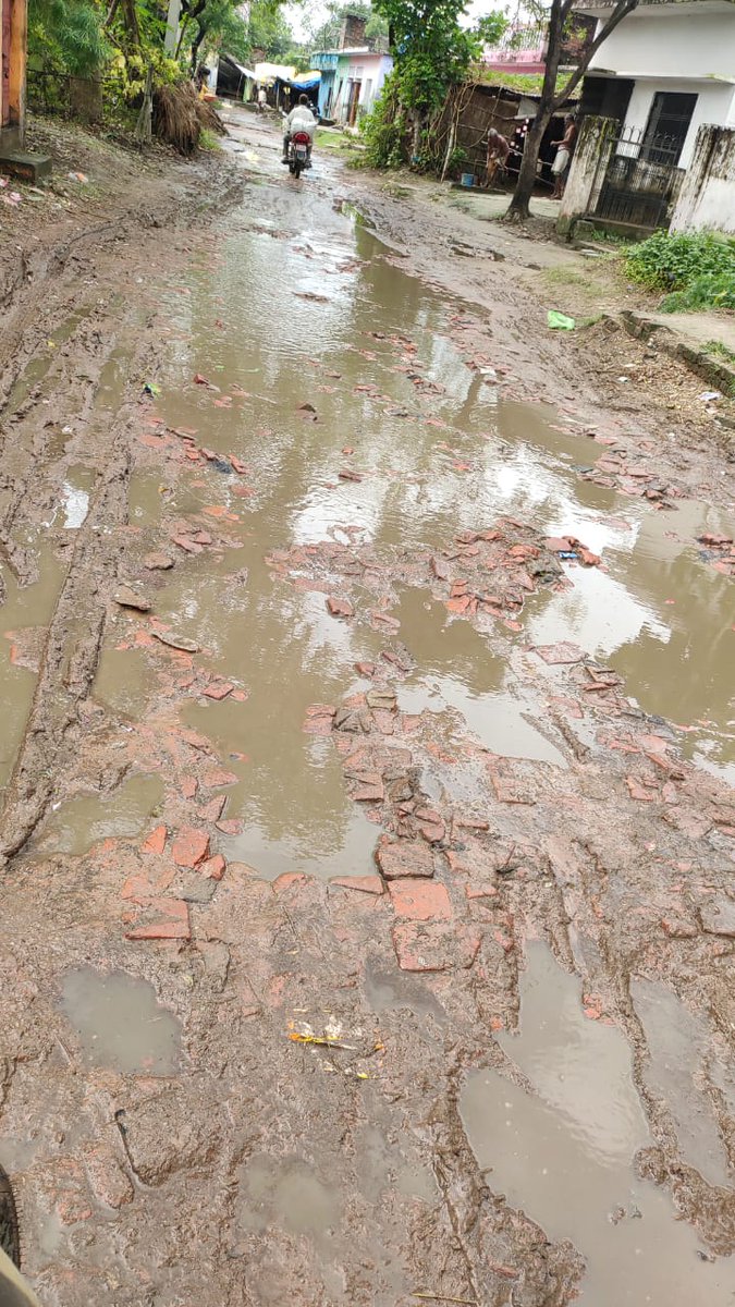 iBTiwari's tweet photo. बस्ती  लोक निर्माण विभाग चोर और भस्ट्रचारी है  इस��िए इस सड़क की ये बदहाली है  #गड्डामुक्त #सल्टौआ-मुड़बरा मार्ग
@JitinPrasada
@Brijesh_BJPUP
@CMOfficeUP
@uppwdofficial https://t.co/SHeEn2xzhn