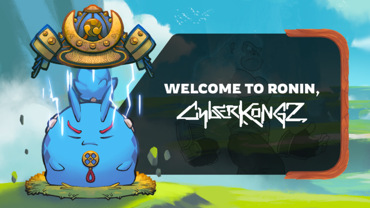 Axie Infinity tweet media