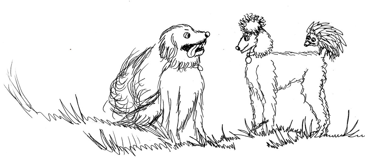 Bexams Bexams tweet media