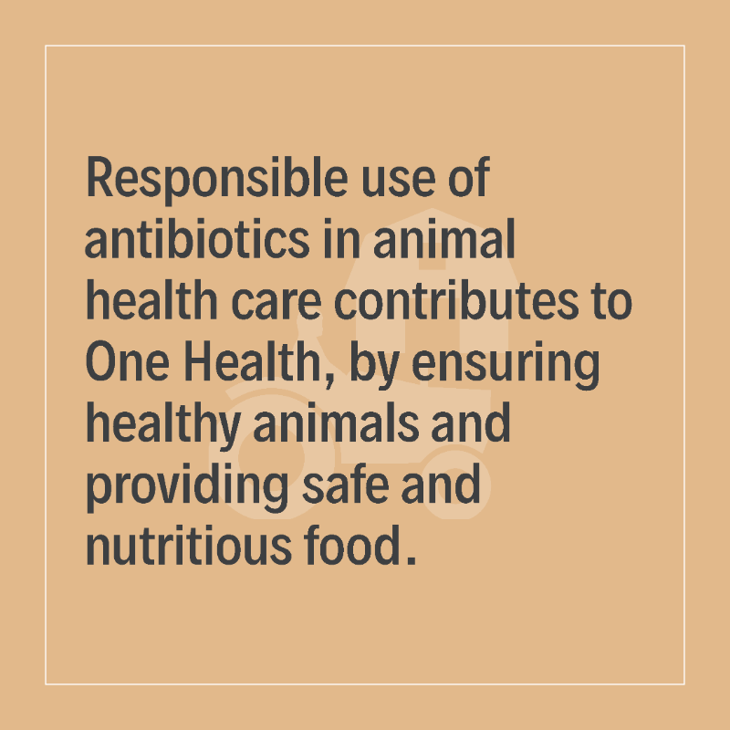 animalhealthEU's tweet photo. #Antibiotics are used in animal health as little as possible, as much as necessary ✔️
They are an important tool in the vet toolbox for protecting health and welfare.