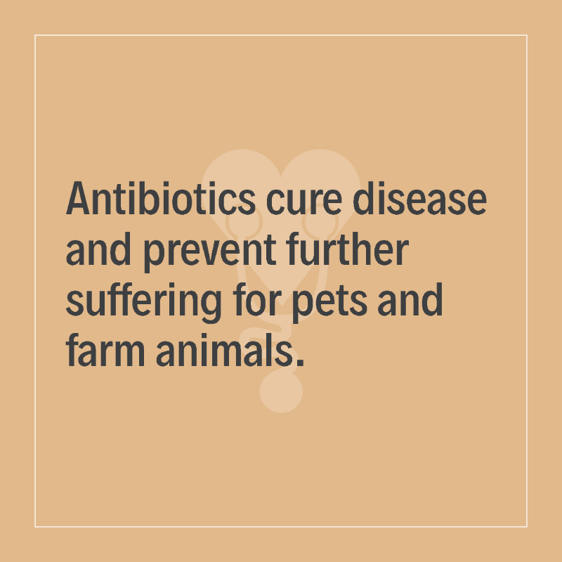 animalhealthEU's tweet photo. #Antibiotics are used in animal health as little as possible, as much as necessary ✔️
They are an important tool in the vet toolbox for protecting health and welfare.