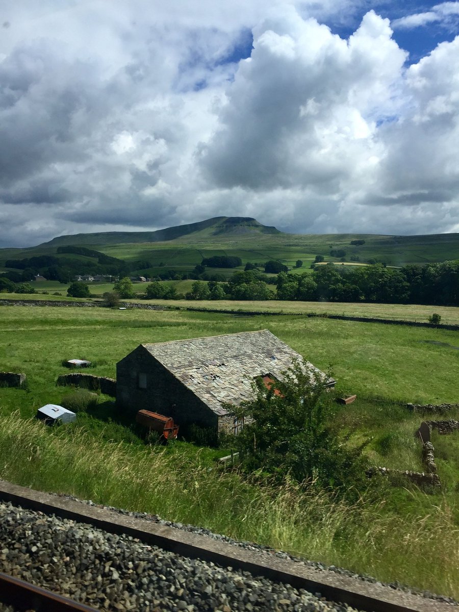 Wolds Wanderer tweet media