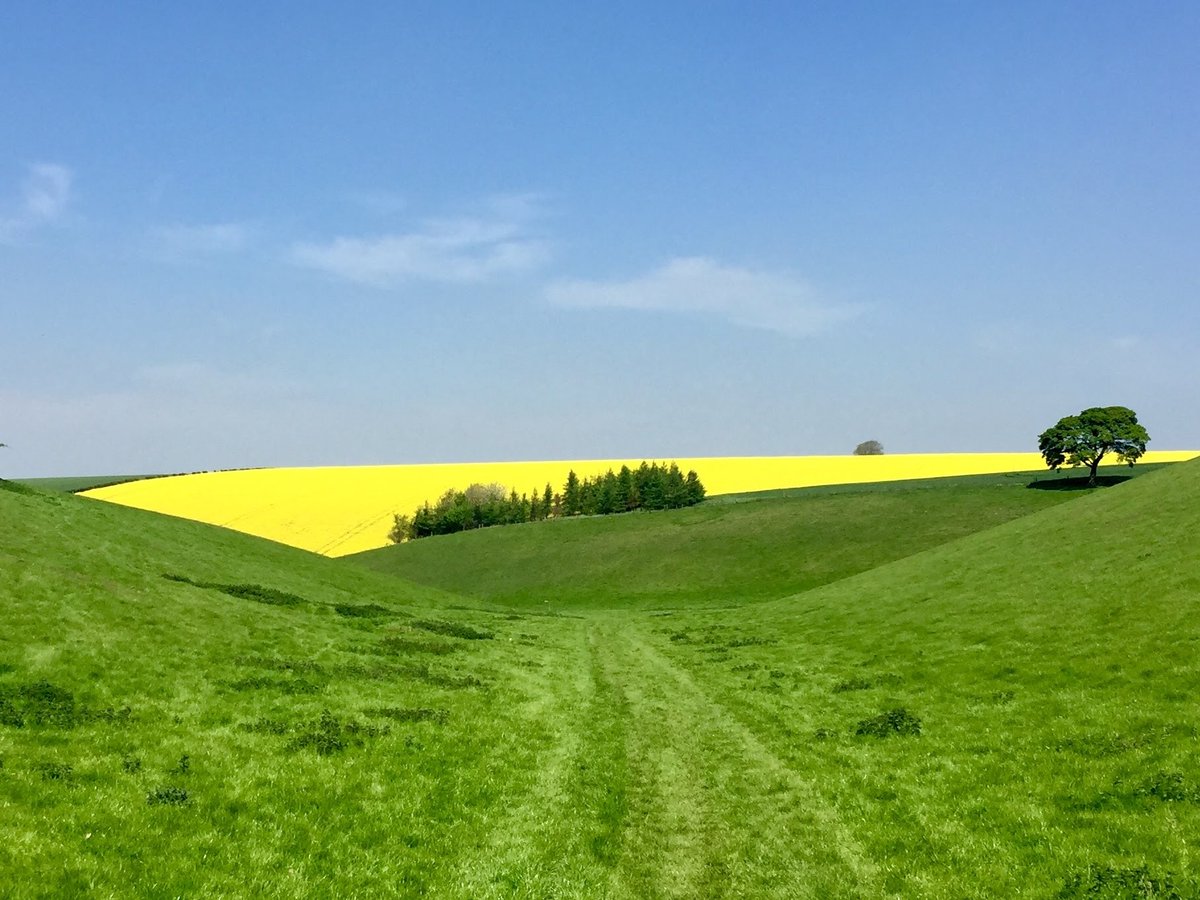 Wolds Wanderer tweet media