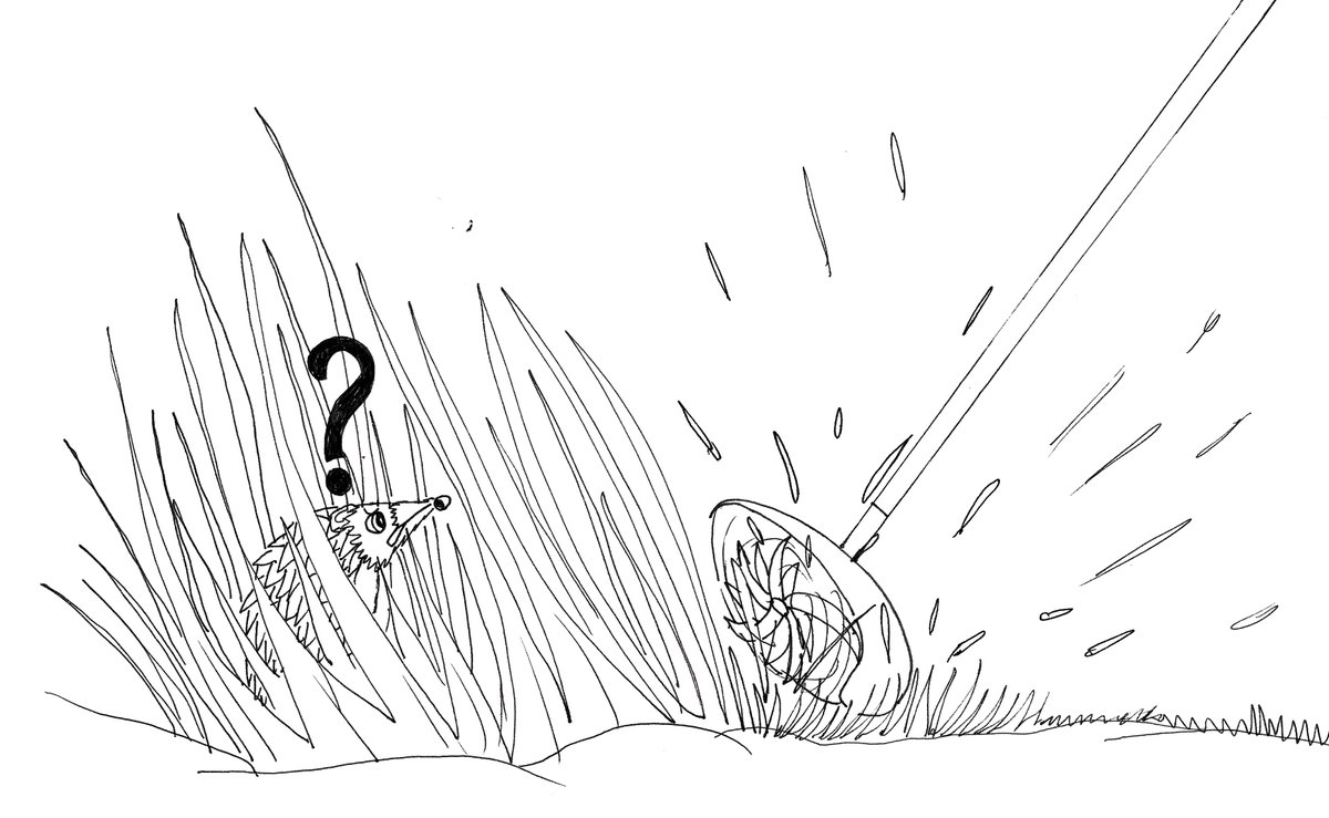 Bexams Bexams tweet media