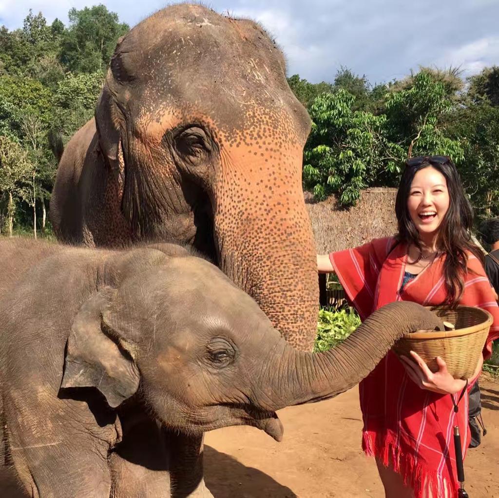 BIDMC CV Fellowship (@bidmcvfellows) on Twitter photo Meet Ginger Jiang, current F3/interventional fellow and our next #BIDMCVFellowSpotlight!
Training: Yale, Harvard MD/MBA, BI IM
Research: Healthcare Delivery and Systems Innovation; Medical Director Clinical Trial Ops <a href="/BaimInstitute/">Baim Institute</a>
Favorite Recent Vacation: Safari!
<a href="/gyfjiang/">Ginger Jiang</a> Meet Ginger Jiang, current F3/interventional fellow and our next #BIDMCVFellowSpotlight!
Training: Yale, Harvard MD/MBA, BI IM
Research: Healthcare Delivery and Systems Innovation; Medical Director Clinical Trial Ops <a href="/BaimInstitute/">Baim Institute</a>
Favorite Recent Vacation: Safari!
<a href="/gyfjiang/">Ginger Jiang</a>
