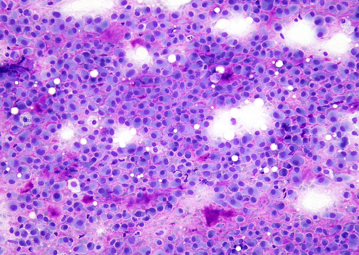 Syed Z. Ali tweet media