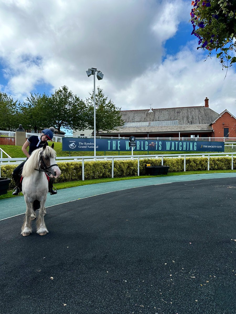 Park Palace Ponies tweet media
