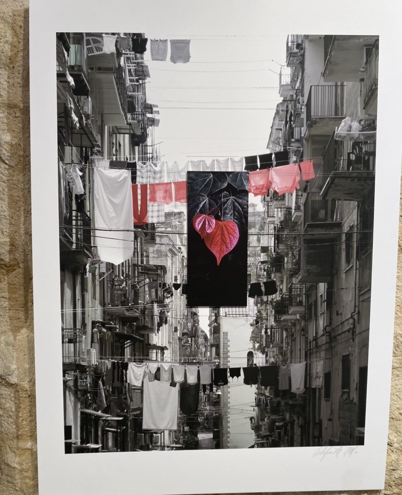 FMetamorphoses's tweet image. A la galerie Passère à Forcalquier voir l’expo de Anne Marie Arbefeuille et Jean-Claude Piriou sur la fragilité du vivant et l’harmonie à inventer avec l’humain.