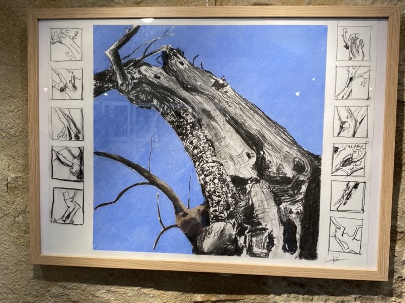 FMetamorphoses's tweet image. A la galerie Passère à Forcalquier voir l’expo de Anne Marie Arbefeuille et Jean-Claude Piriou sur la fragilité du vivant et l’harmonie à inventer avec l’humain.