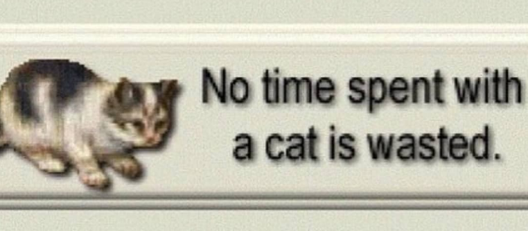 comeeeett's tweet image. time well spent