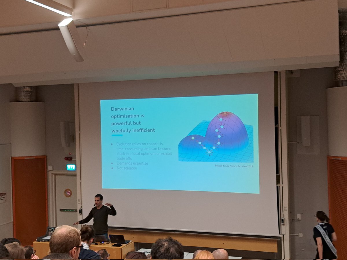 Ariane Nunes Alves tweet media