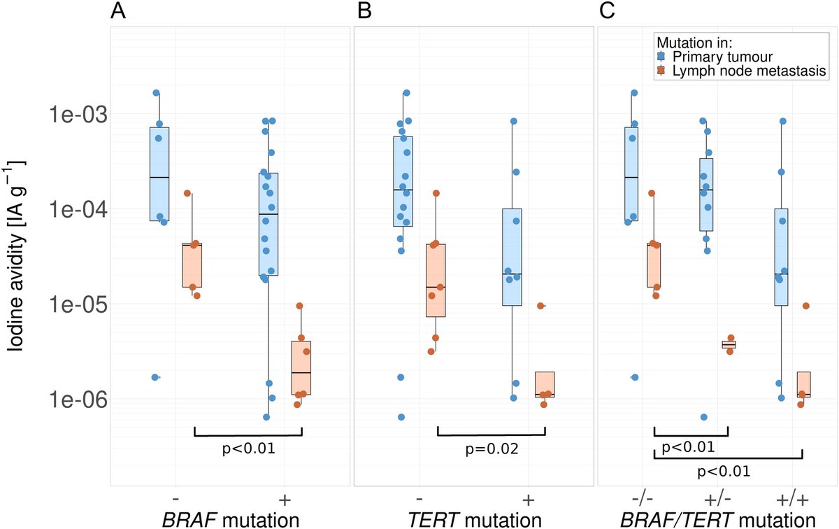 Well, BRAF and TERT mutations linked to lower avidity, while NIS membrane localization on IHC associated with higher avidity. A model combining histological subtype, TPO, NIS expression, and TERT mutation was shown to predict iodine avidity pre-treatment!