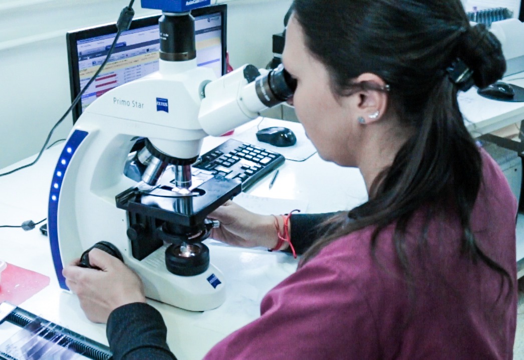 heamadariaga's tweet photo. ✳️ Desde el #ParquedelaSalud informan que el #Laboratorio de #Agudos acentúa el #diagnóstico de #patologías para un seguimiento adecuado
Más info 👉 https://t.co/TBJRGaf5Z8
@rovira_carlos @herrerayflia @MDictar https://t.co/EefiQbUyhM