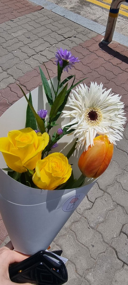 bluesummer444's tweet photo. ⭒ 𝘮𝘢𝘪𝘯 ⭒ 

•𝚁𝚎𝚌𝚘𝚛𝚍 𝚙𝚎𝚘𝚙𝚕𝚎 𝚊𝚗𝚍 𝚜𝚞𝚖𝚖𝚎𝚛

(𝔠𝔬𝔫𝔱𝔦𝔫𝔲𝔢 𝔟𝔢𝔩𝔬𝔴 ↓) https://t.co/p7G9mxUFzz
