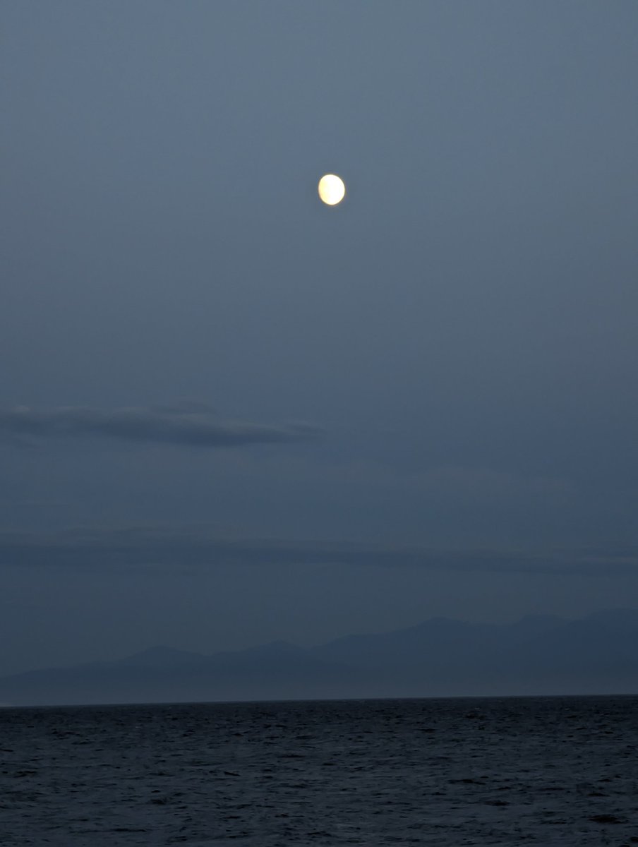 SocMedGirlyyj's tweet photo. Moon over water. From my weekend travels.
"โFull moons come, Full moons go, softening nights with their silver glow. They pass in silence all untamed, but as they travel they are named." ~ Penny Pollack in the book, โWhen the Moon is Fullโ.
Looking forward to the #GrainMoon.๐พ๐ https://t.co/ZGhK9kgnyf