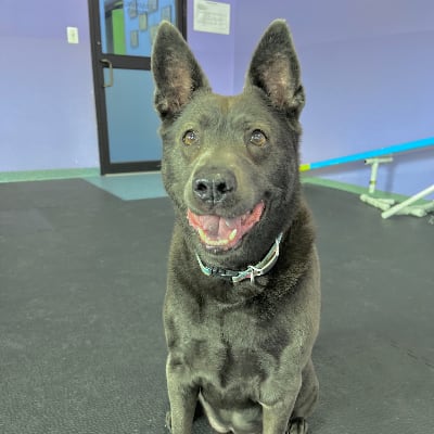 Instrata PC Apts tweet media