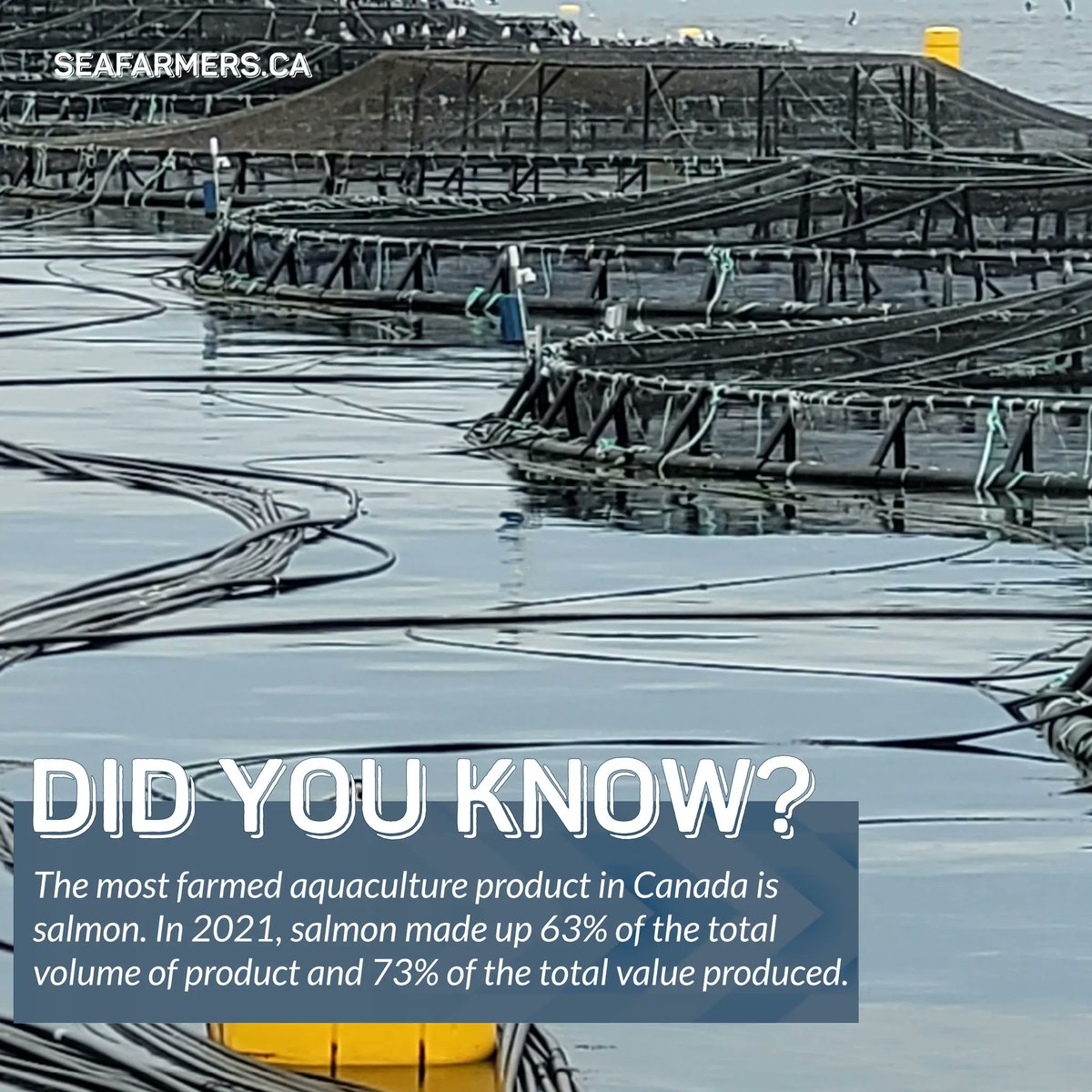 AANS | Sea Farmers tweet media