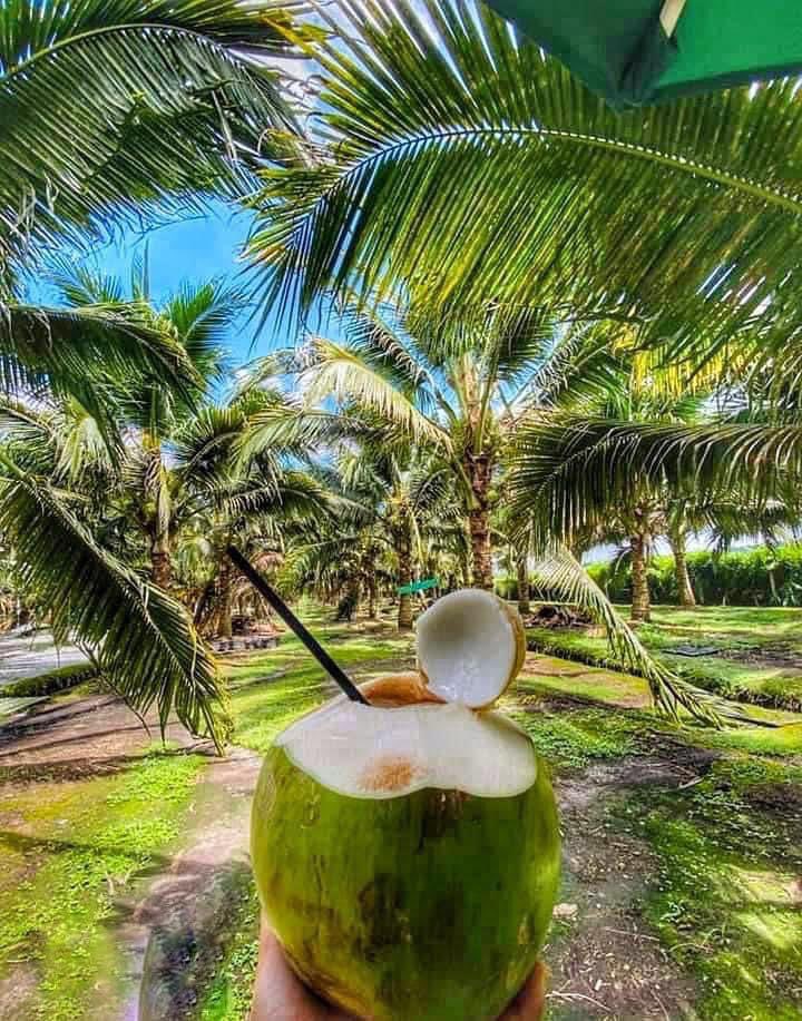 MalaysianFoods's tweet photo. Kalau pergi bercuti dekat sekinchan, ini adalah tempat- tempat makan best yang wajib singgah!

Memang Syurga segala makanan, Jomm Melantak😋

📌Thread https://t.co/BzcD4IazyP