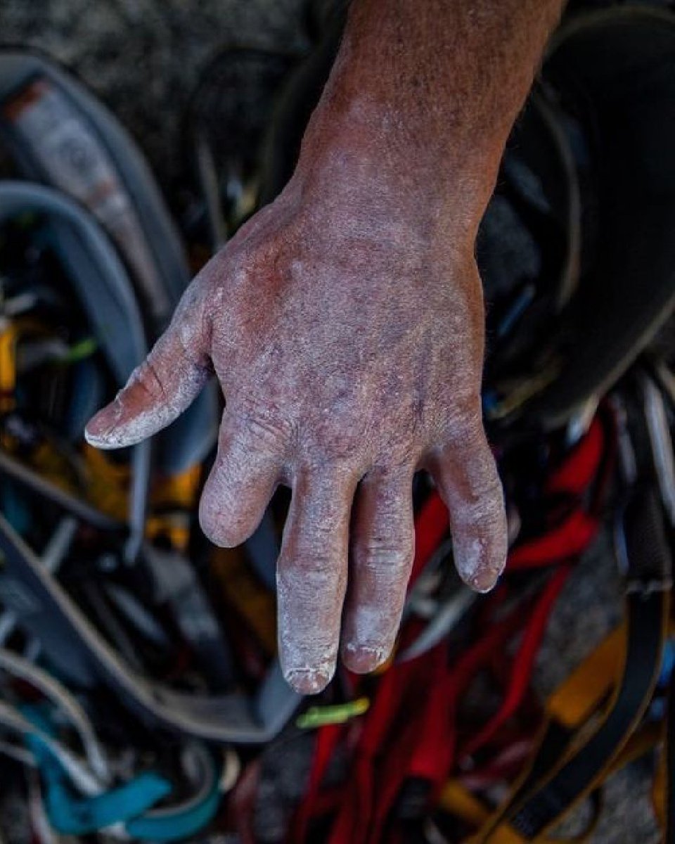 jimkchin's tweet image. No excuses.