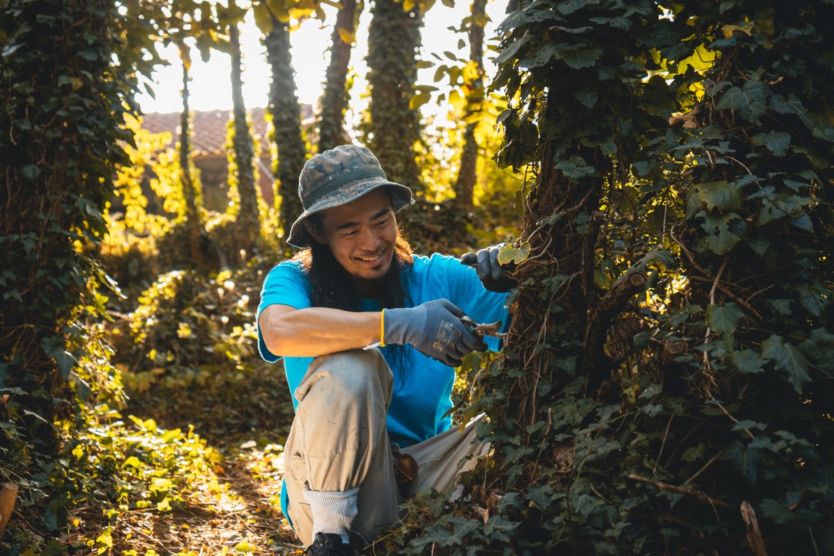 logoshope's tweet image. Nature 🏞 

Our crew loves nature!
On Logos Hope we often partner with other organisations in the ports we visit by doing activities such as gardening, cleaning and much more!

#Nature #LogosHope #Knowledge #Help #Hope