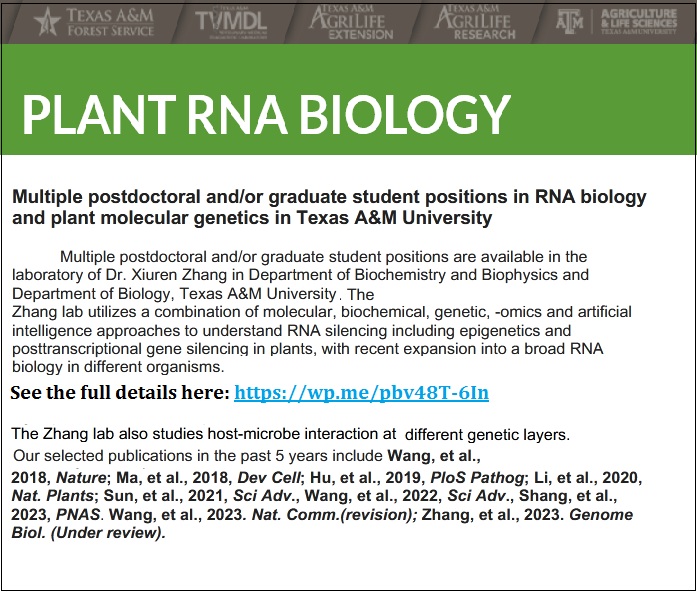 agristok's tweet photo. 📌 Multiple Postdoctoral and or Graduate Student Positions in RNA Biology and Plant Molecular Genetics at Texas A&amp;M University, USA ... Please Retweet and spread the word! For details visit: https://t.co/Job05JOvc2 https://t.co/uU94vcttHk
