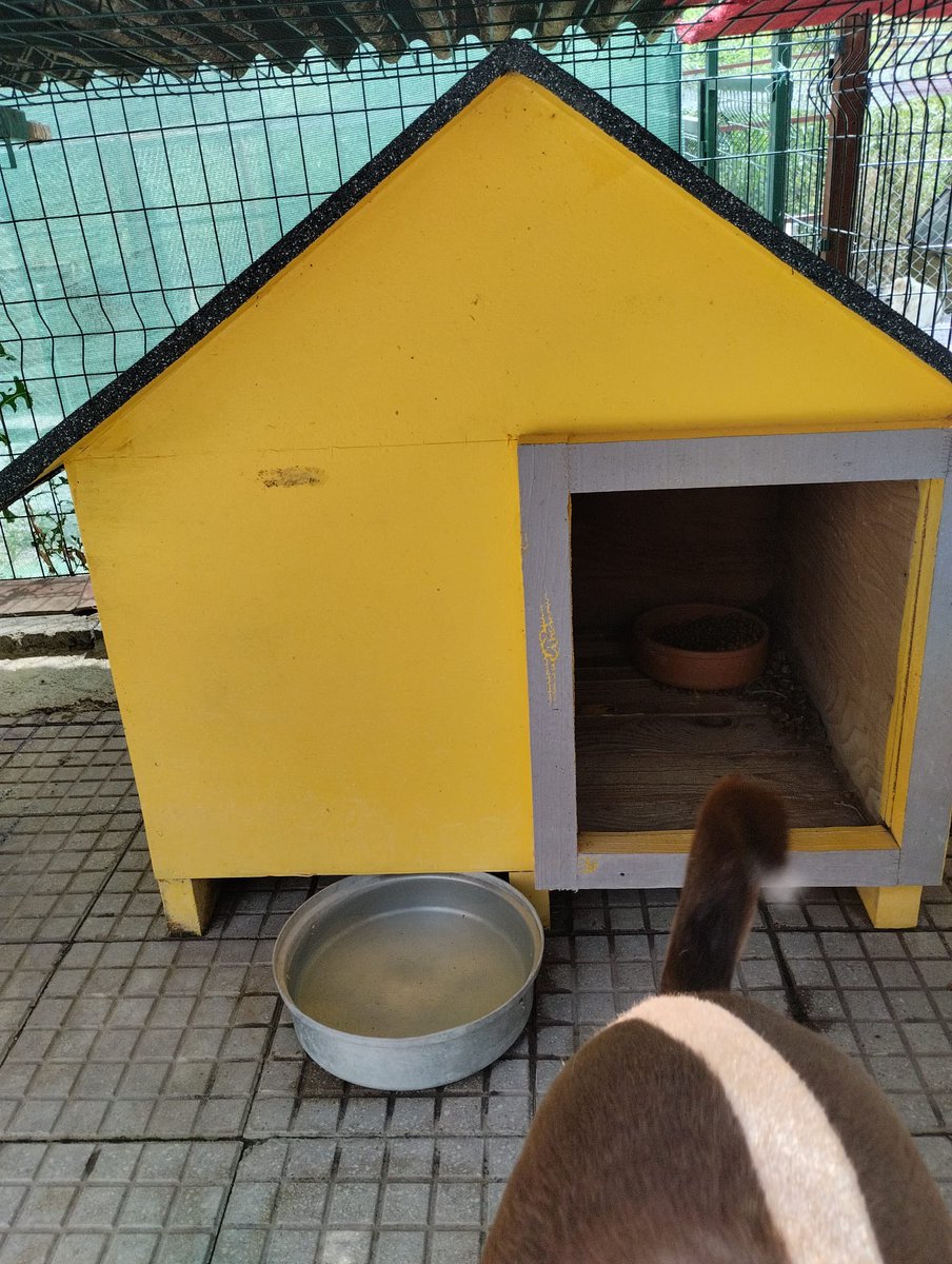 Geçtiğimiz günlerde sizden hayvanlarımı sahiplendiren bakımevine takviye padok yapımı için destek istemiştim. Çalışmalar sürüyor, teşekkür ederim. 

Ankara'da çok sık yağmur yağıyor ve önümüz kış. Yapılan yerlere kulübe gerekiyor. Ben de destek olurum diyenler bana ulaşabilir mi?