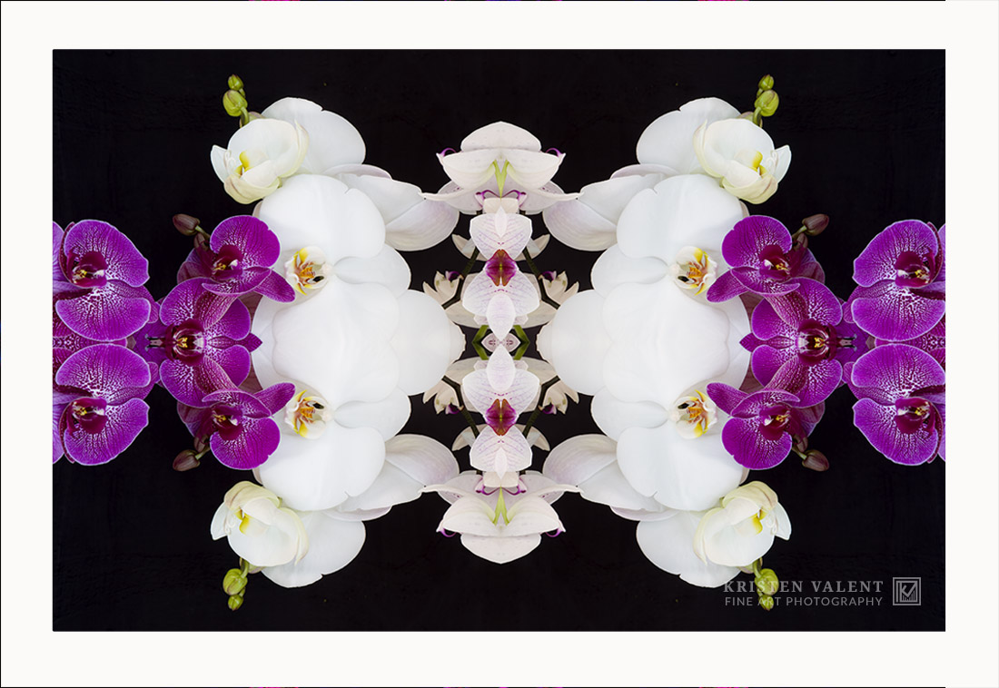 Kristen V🅰️lent | .ETH/TEZ tweet media