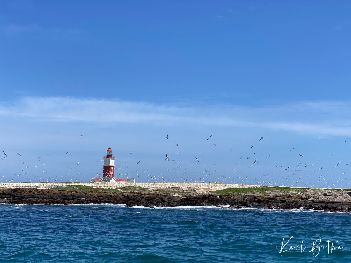 addotourism's tweet photo. Happy Marine Protected Areas SA Day! #MPADay #LetsTalkMPAs #AmazingAddo @SANParksAENP @MPAsSA1 πΈ Karl Botha
Encounters with bottlenose dolphins, great white sharks, orcas and four whale species make this a hotspot for marine tourism and education.
https://t.co/RVzNCH6l7t https://t.co/MBXxIfXpTE